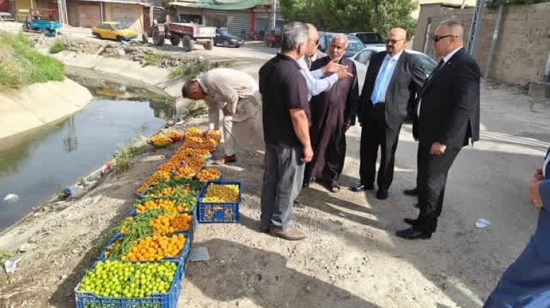 زراعة كربلاء المقدسة تؤكد إرتفاع إنتاج الفواكه النفضية بالمحافظة