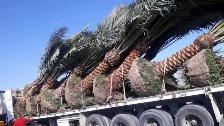 في خطوة معطاءة .. مواطن من أهالي مدينة الكوت يقدم على مبادرة تطوعية فريدة من نوعها في أحد أحياء المدينة