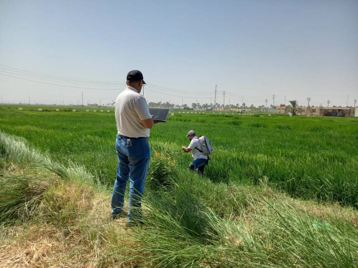 مع تحسن الموارد المائية .. الأنظار تتجه إلى الخطة الزراعية الشتوية في البلاد