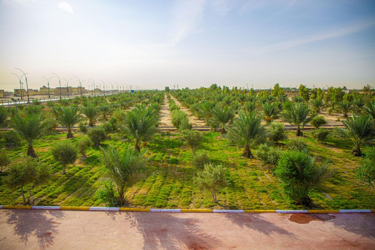 العتبة العباسية المقدسة تقترب من إنجاز 21 جلسة عائلية في استراحة السيدة خديجة الكبرى (عليها السلام)