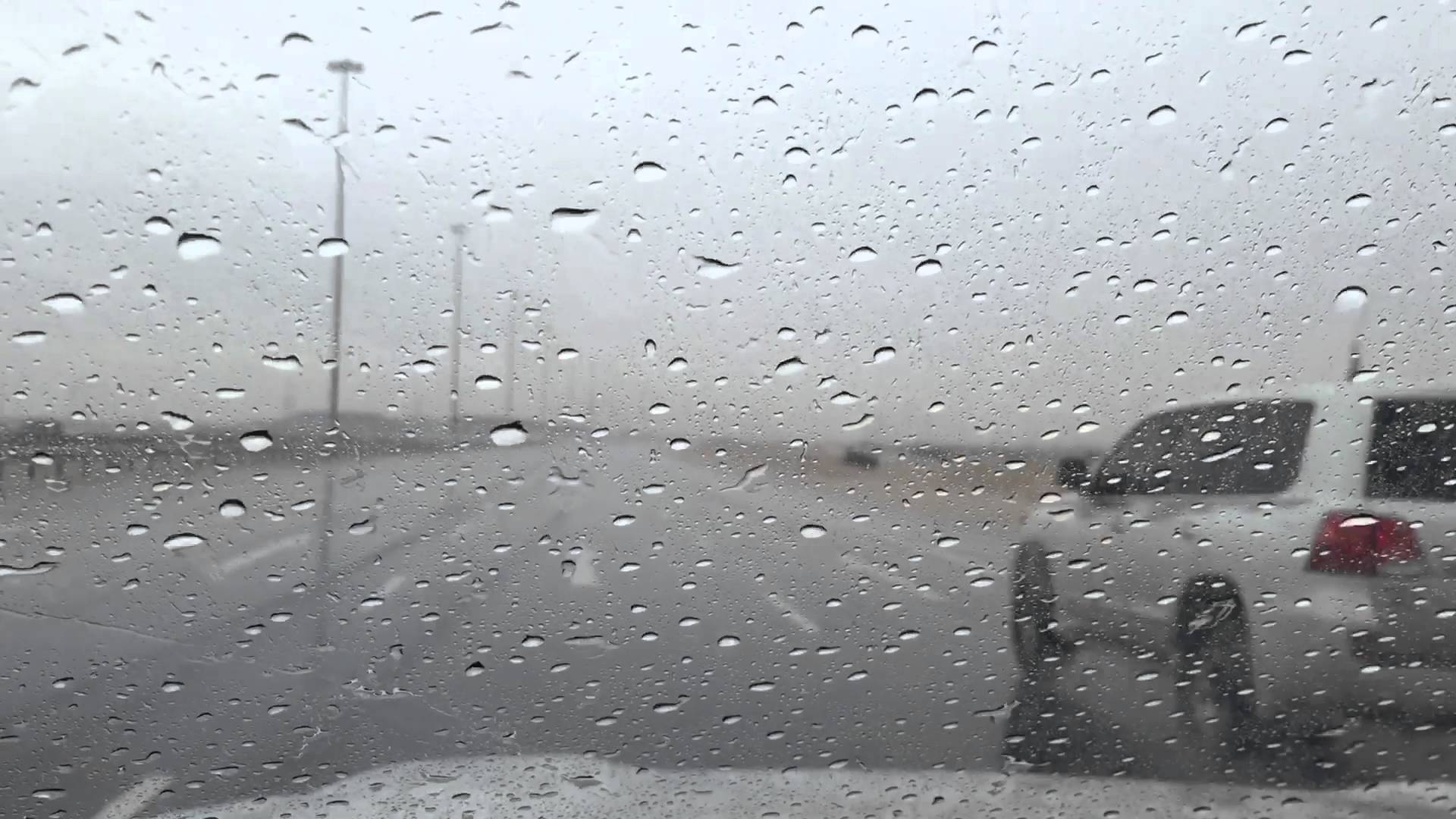56257-122820190959195e06fd4711049.jpg