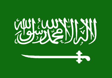 موقع ويكليكس: المملكة السعودية قلقة من التجربة السياسية في العراق