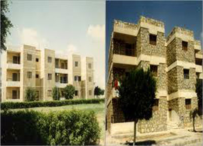 5d10cc4d8eca2.jpg
