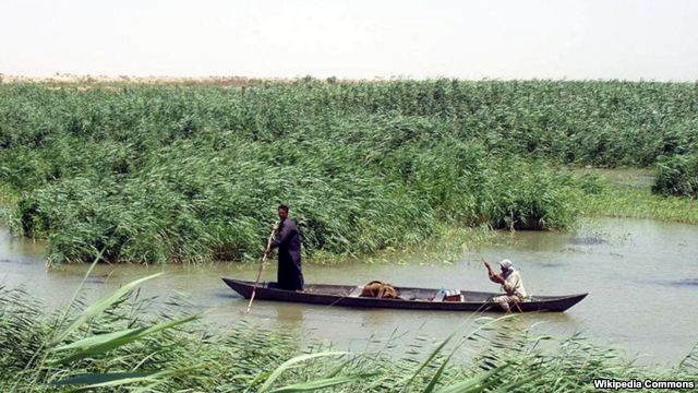 الديوانية و واسط يعتزمان عقد شراكة لاستثمار هور الدلمج (تقرير صوتي)