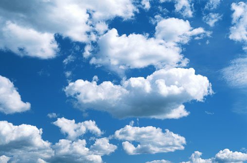 5d1252f2173c8.jpg