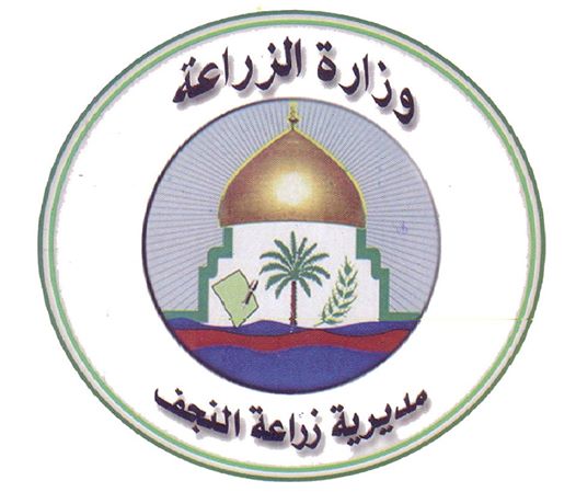ماذا اعلنت زراعة النجف الاشرف حول محاصيلها؟؟ (تقرير صوتي)