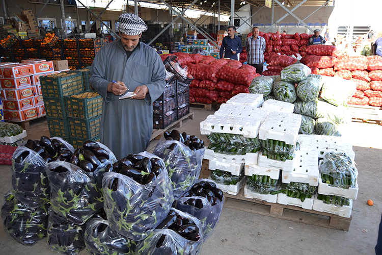 عدد من فلاحي ومزارعي كربلاء يطالبون بغلق الحدود امام المحاصيل المستوردة (تقرير صوتي ومصور)