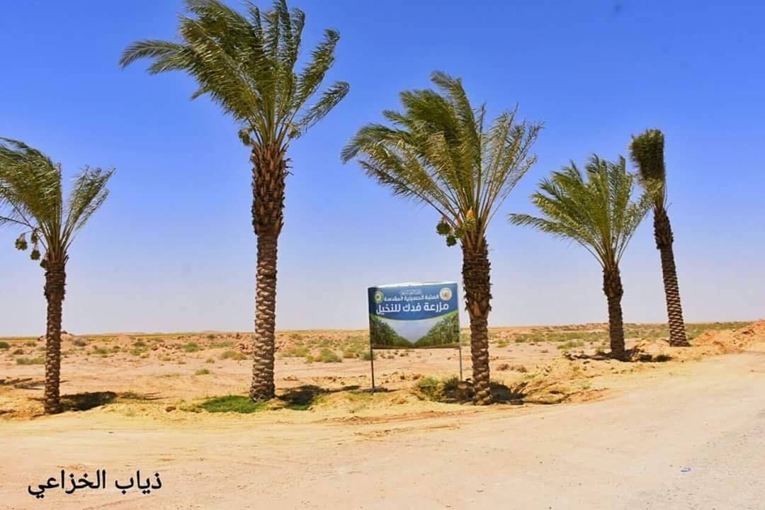 5d1b777579714.jpg