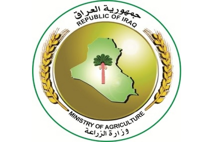 5d1b919cca4cc.jpg