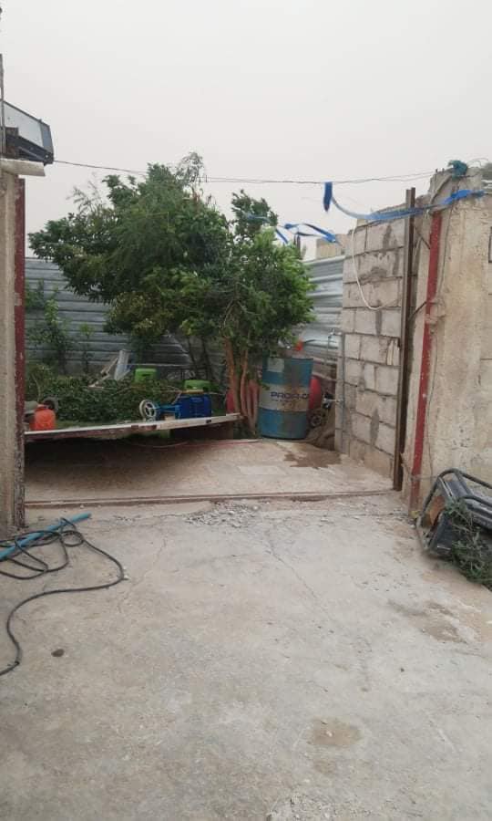 5d1c6029292c4.jpg