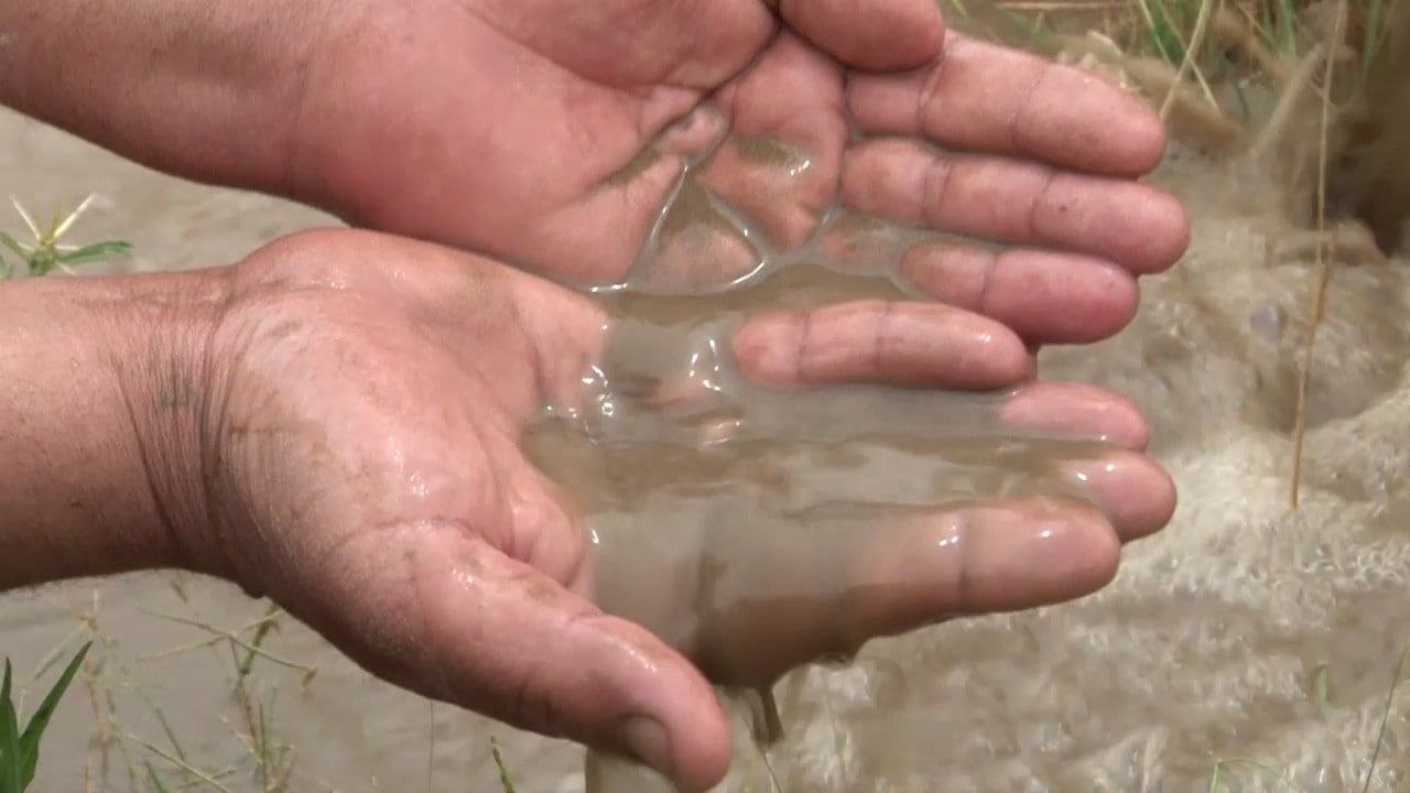 69875-0731202218032862e699c06e0bc.jpg