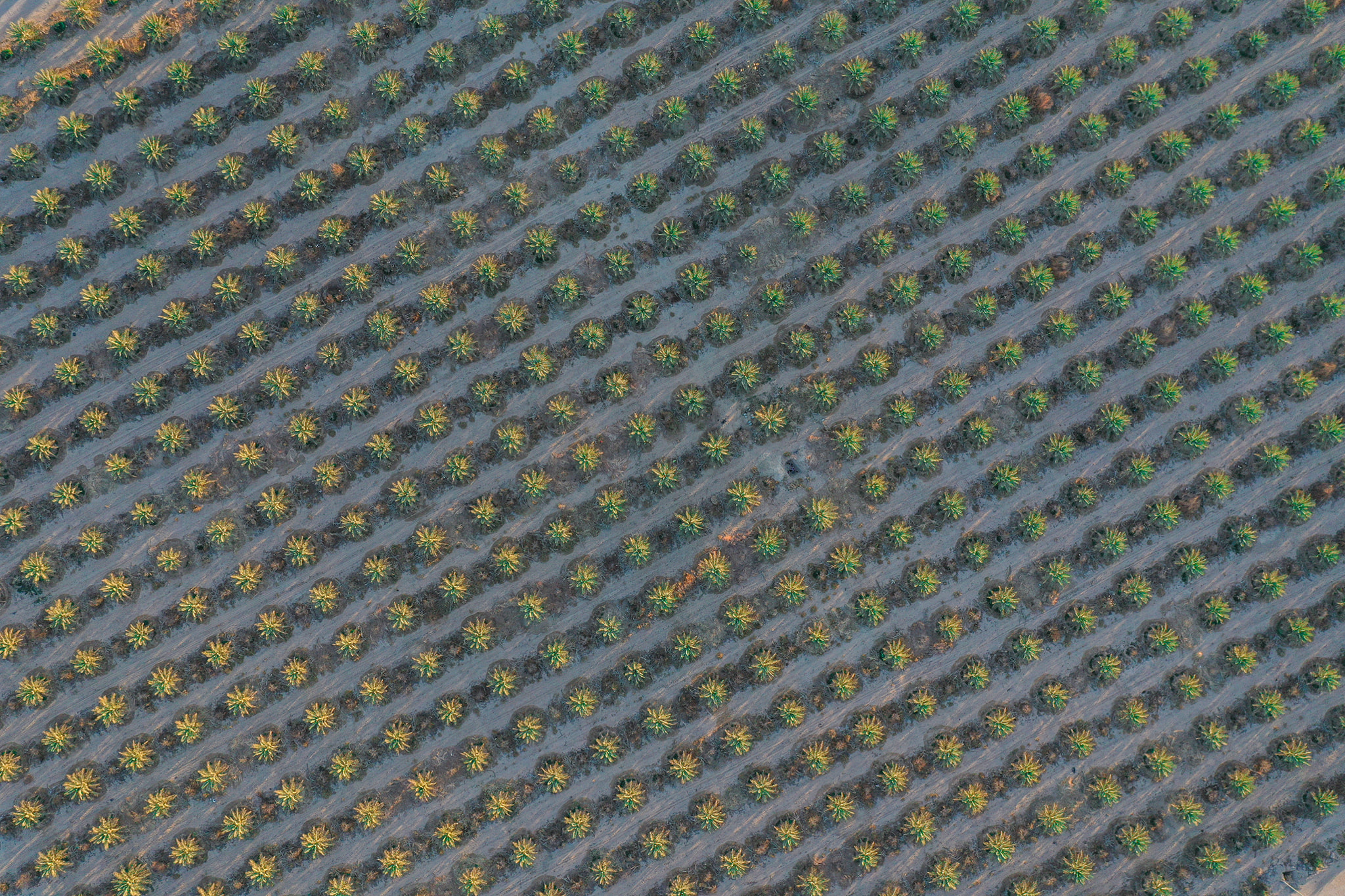 70849-10052022123558633d4ffe03881.jpg