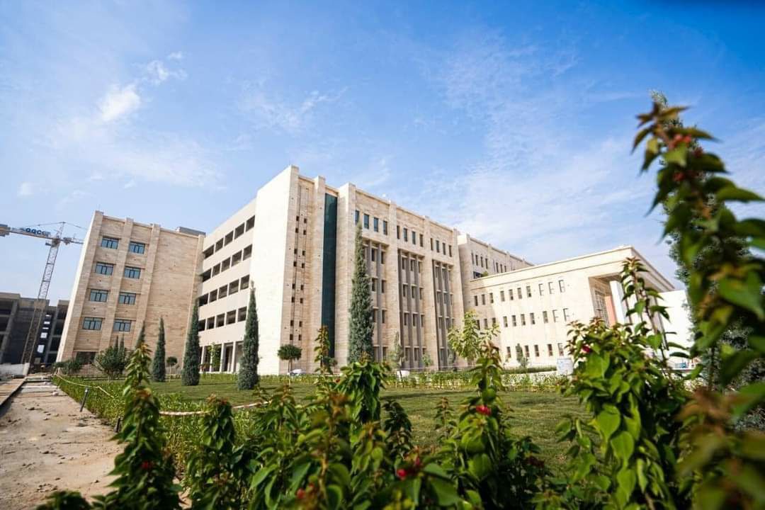72113-1228202215030863ac307c67344.jpg