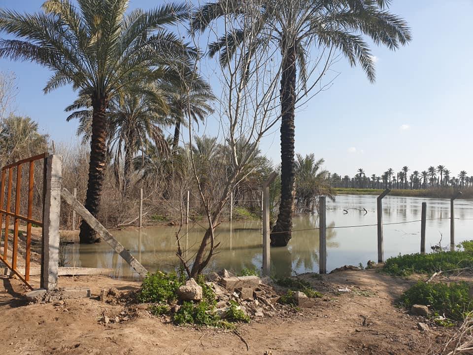 نهر ديالى يشهد إرتفاع في مناسيب مياهه وإندفاعها نحو البساتين والاراضي الزراعية بالمحافظة
