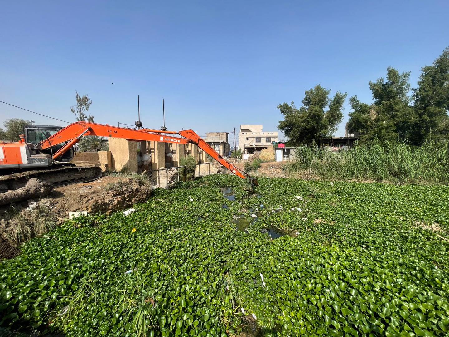 الجمعيات الفلاحية في كربلاء تعلن عن انخفاض مناسيب المياه في جدول الحسينية الاروائي لوجود نبات زهرة النيل