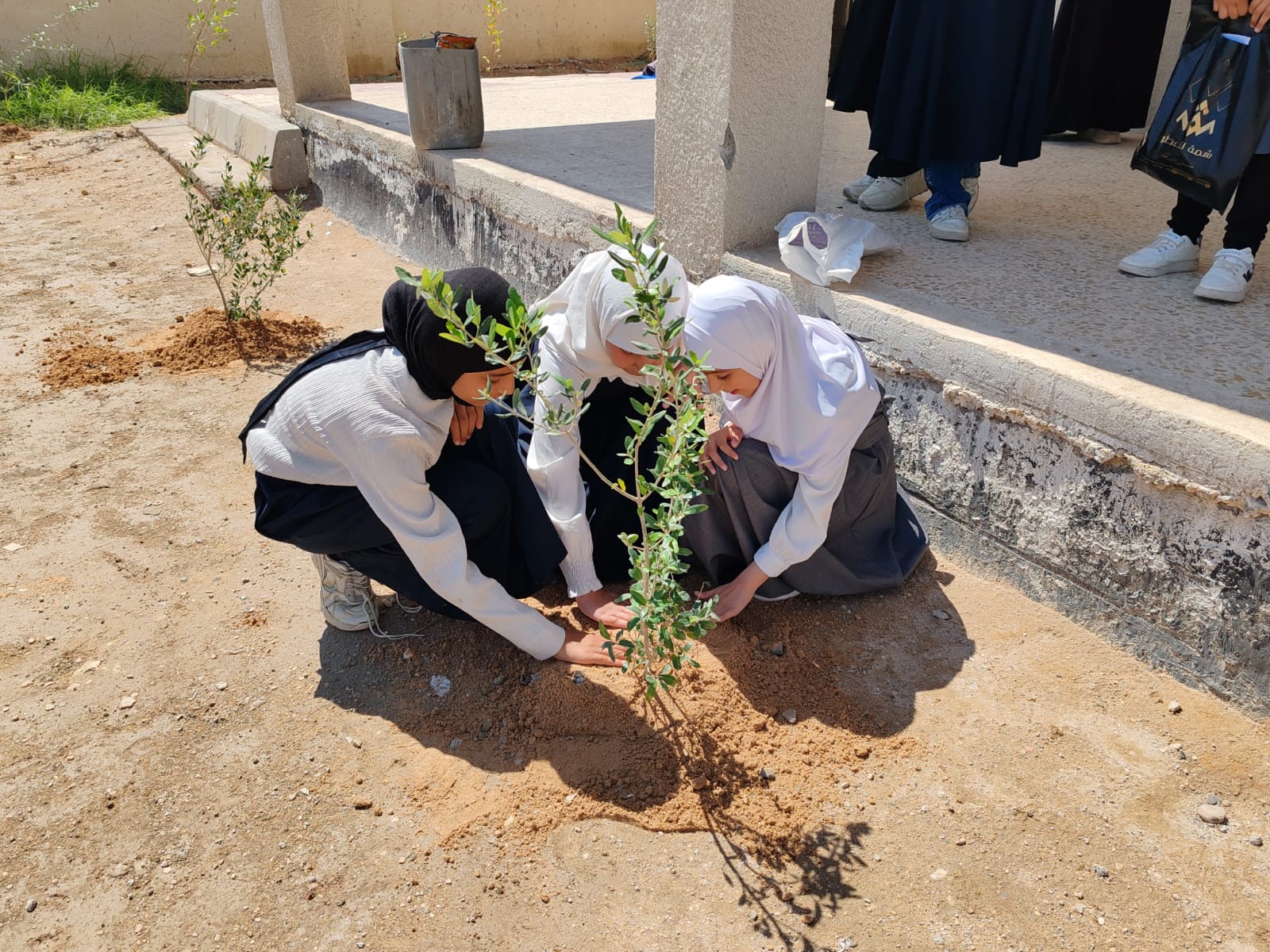 أكاديمية الوارث للتنمية المستدامة في العتبة الحسينية تعلن عن مواصلة حملة (عراقنا أخضر بإسمك يا حسين) لتشجير مدارس كربلاء المقدسة