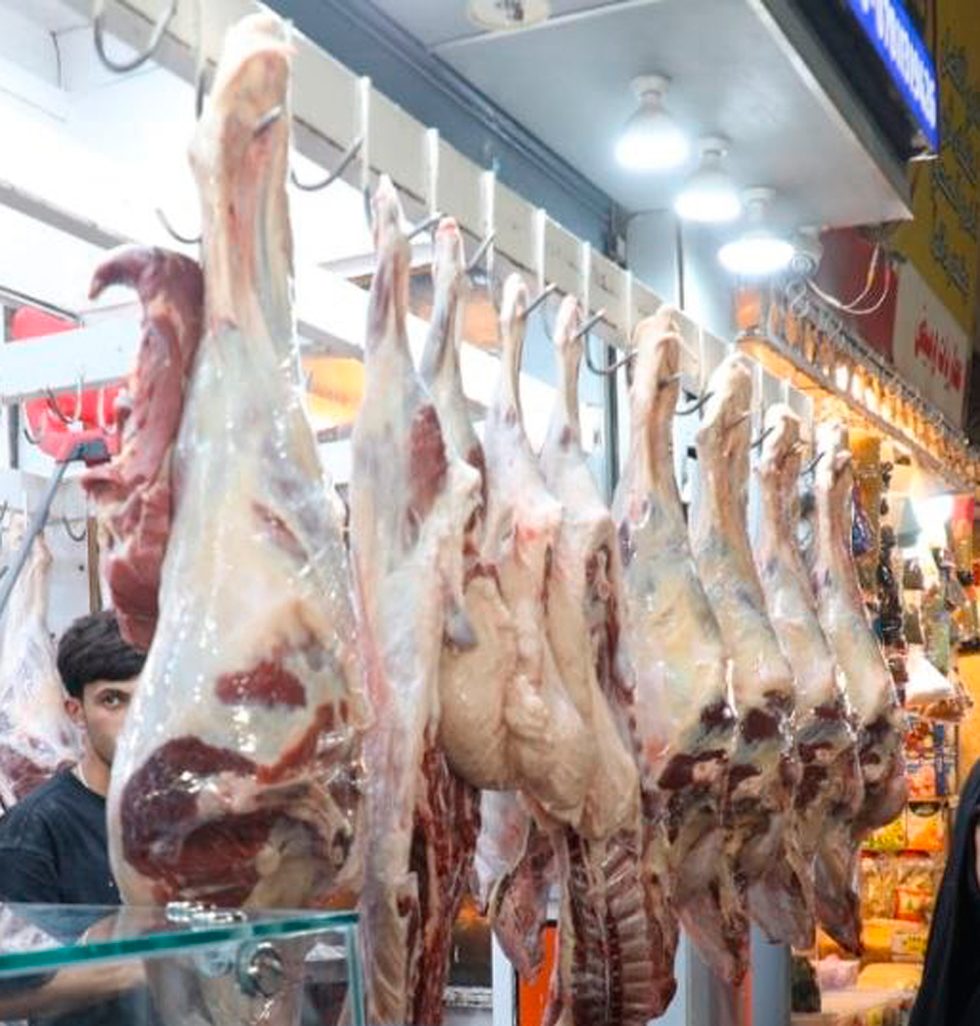 واسط .. إرتفاع في أسعار المواشي مع حلول عيد الأضحى المبارك