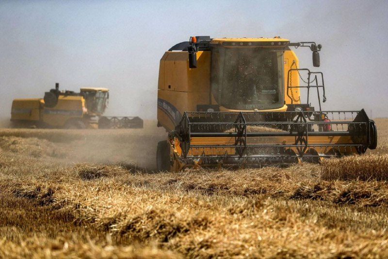 فلاحو واسط يطالبون الحكومة المركزية بصرف مستحقاتهم المالية المتأخرة