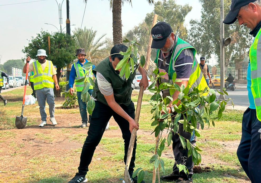 أمانة بغداد تعلن إستعدادها لإطلاق حملة التشجير الكبرى في العاصمة